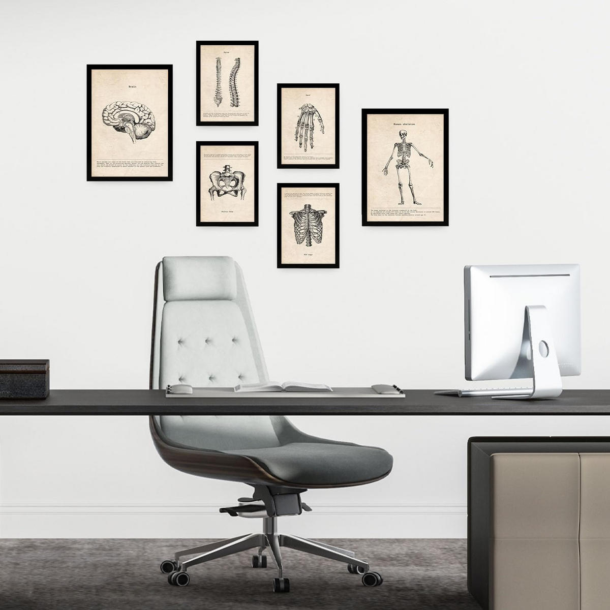 POSTER Set Mit 6 Knochenanatomie Größe A3 & A4 Schwarzer Rahmen - Schwarz, Papier (29.7/1cm) - Nacnic