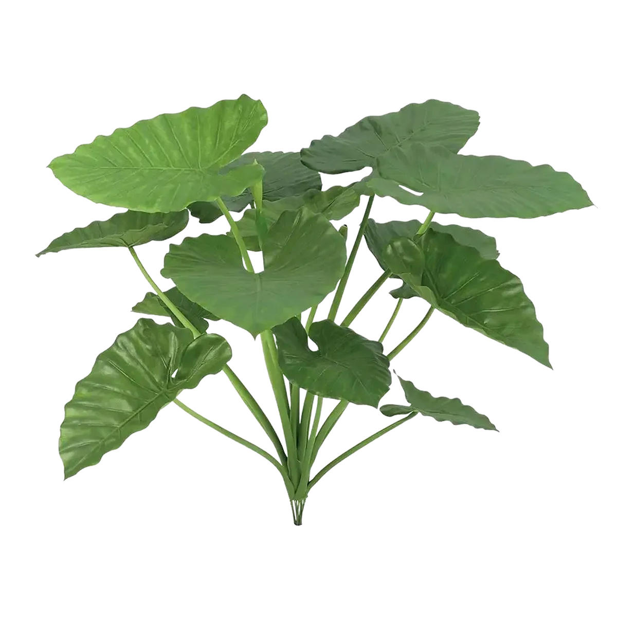 KUNSTPFLANZE Künstliche Alocasia - Felix 84 cm - Grün, Kunststoff (84cm) - aplanta