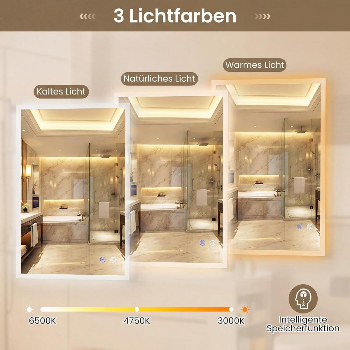 BADSPIGEL mit Beleuchtung silber - Silberfarben, Glas (50/70/3cm) - COSTWAY