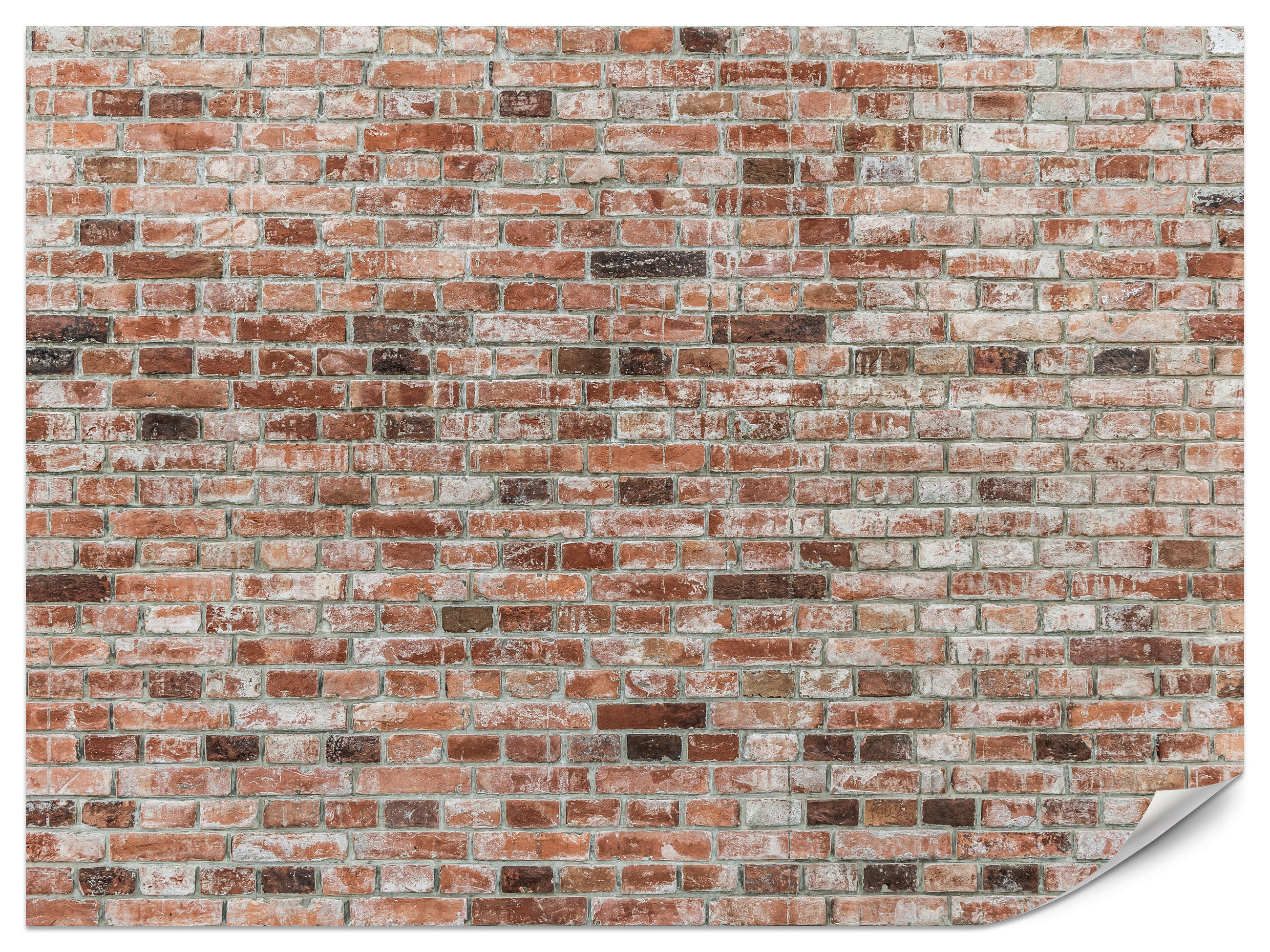 FOTOTAPETE für Büro Ziegelmauer Wand Abstraktion 500x350 - Braun, Papier (500/350cm) - Muralo