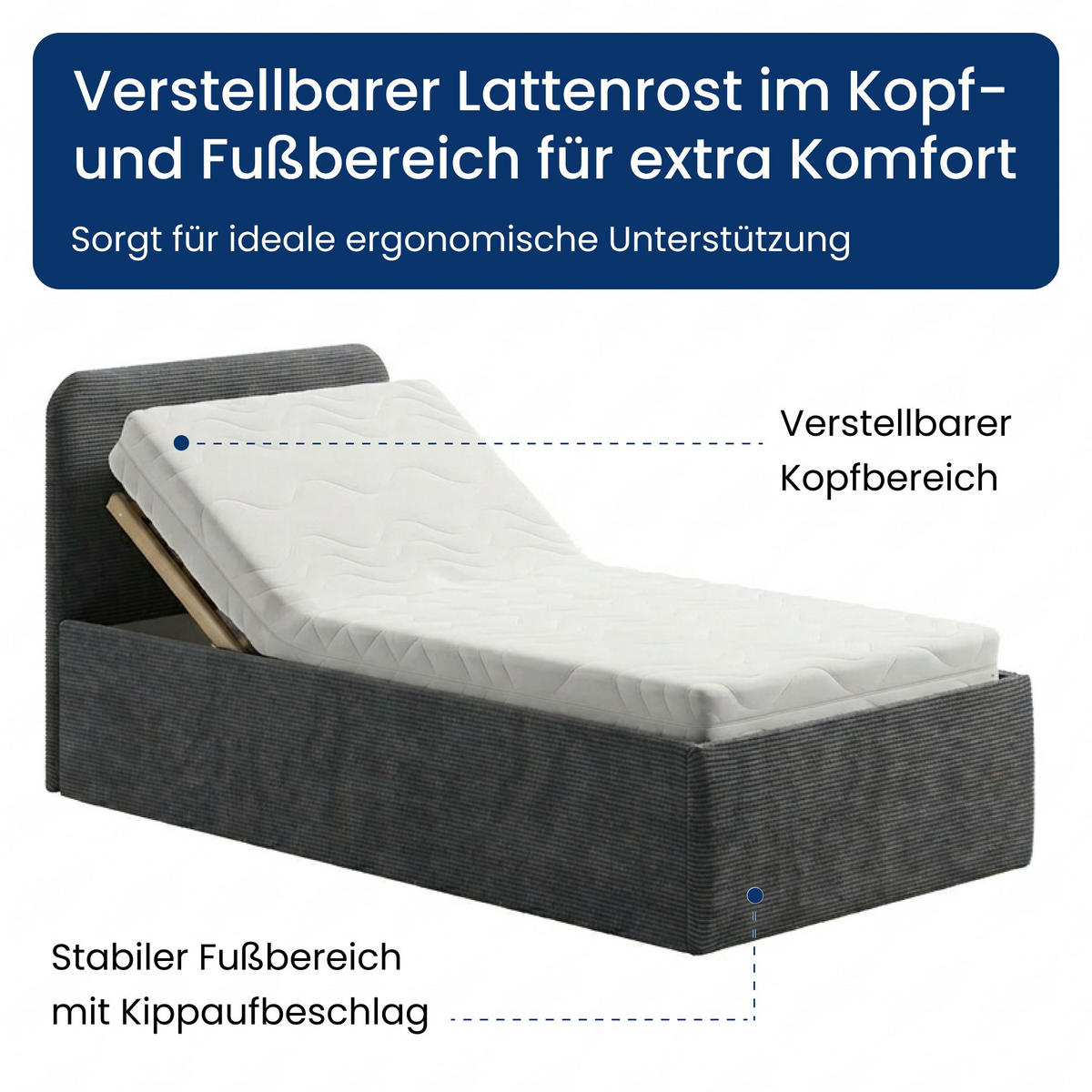 POSLTERBETT mit Kaltschaummatratze 100x200 cm in Anthrazit - Anthrazit, Holzwerkstoff/Textil (100/200cm) - Home Collective