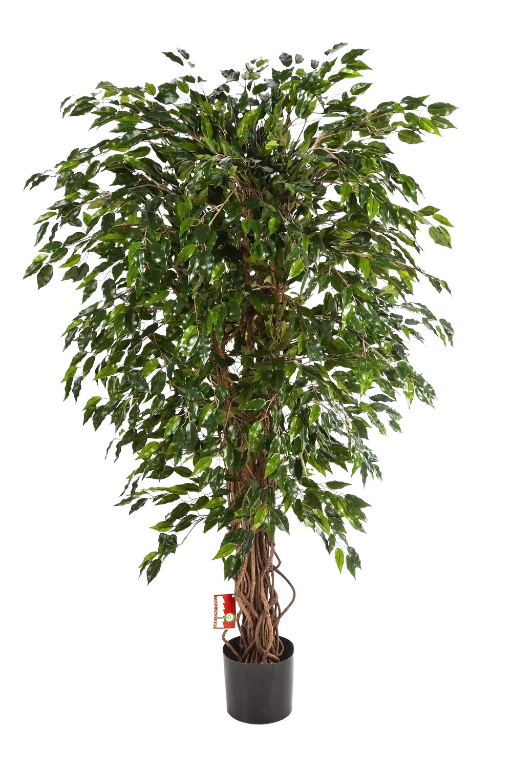 KUNSTBAUM Künstlicher Ficus - Juna 210 cm - Grün, Kunststoff (210cm) - aplanta