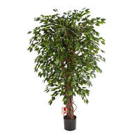 FICUS Künstliche Feige - Juna 150 cm - Grün, Kunststoff (150cm) - aplanta