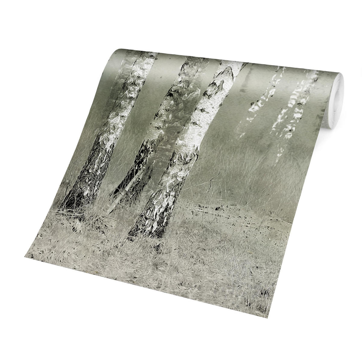 FOTOTAPETE Ruhender Birkenwald 336/225 cm - Grau, Papier (336/225cm) - Bilderwelten