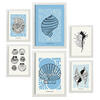 POSTER Set Mit 6 In Schwarzer Tinte Irises Kunstdrucke Von Meer Und Ozean Für Innenarchitektur A3 & A4 Weißer Rahmen - Weiß, Papier (29/3cm) - Nacnic