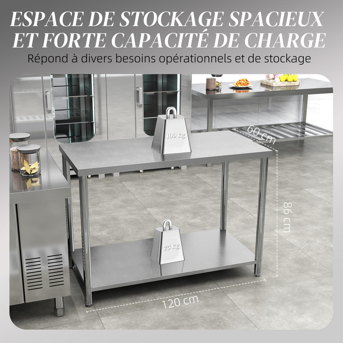 WERKBANK DE-18997 Edelstahl, 2 Ablagen, 120x60 cm Silber - Silberfarben, Metall (60/86/120cm) - ComfortXL