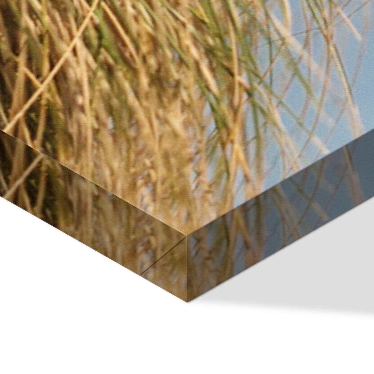 LEINWANDBILD Strand 5-tlg. 200x100 cm - Multicolor, Holz (200/100cm) - LUMASOUL