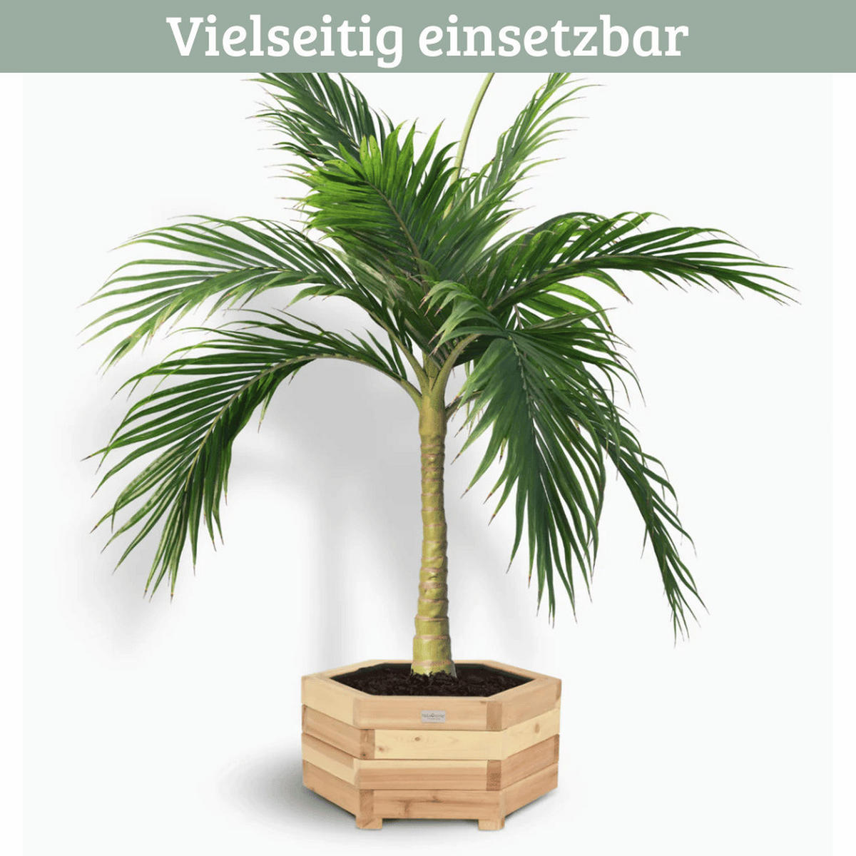 PFLANZKASTEN Holz 6-eckig MICHA Inkl. Vlies 46cm Breit - Braun, Holz (46/22/46cm) - DELUKE