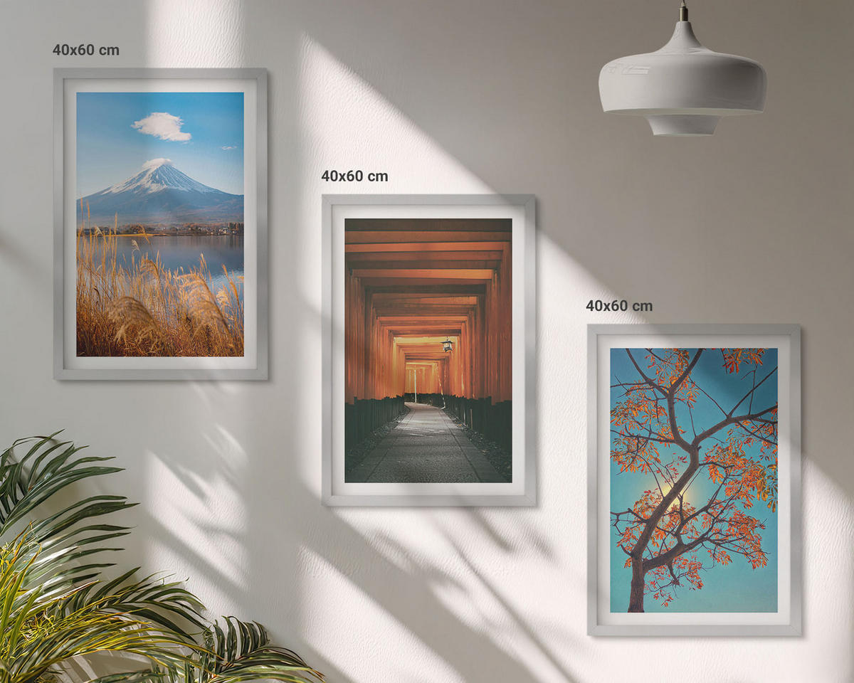 BILDER SET 3er Set - 40x60 cm Silberner Rahmen - Japanische Naturlandschaften - Silberfarben, Kunststoff (40/60cm) - TULUP