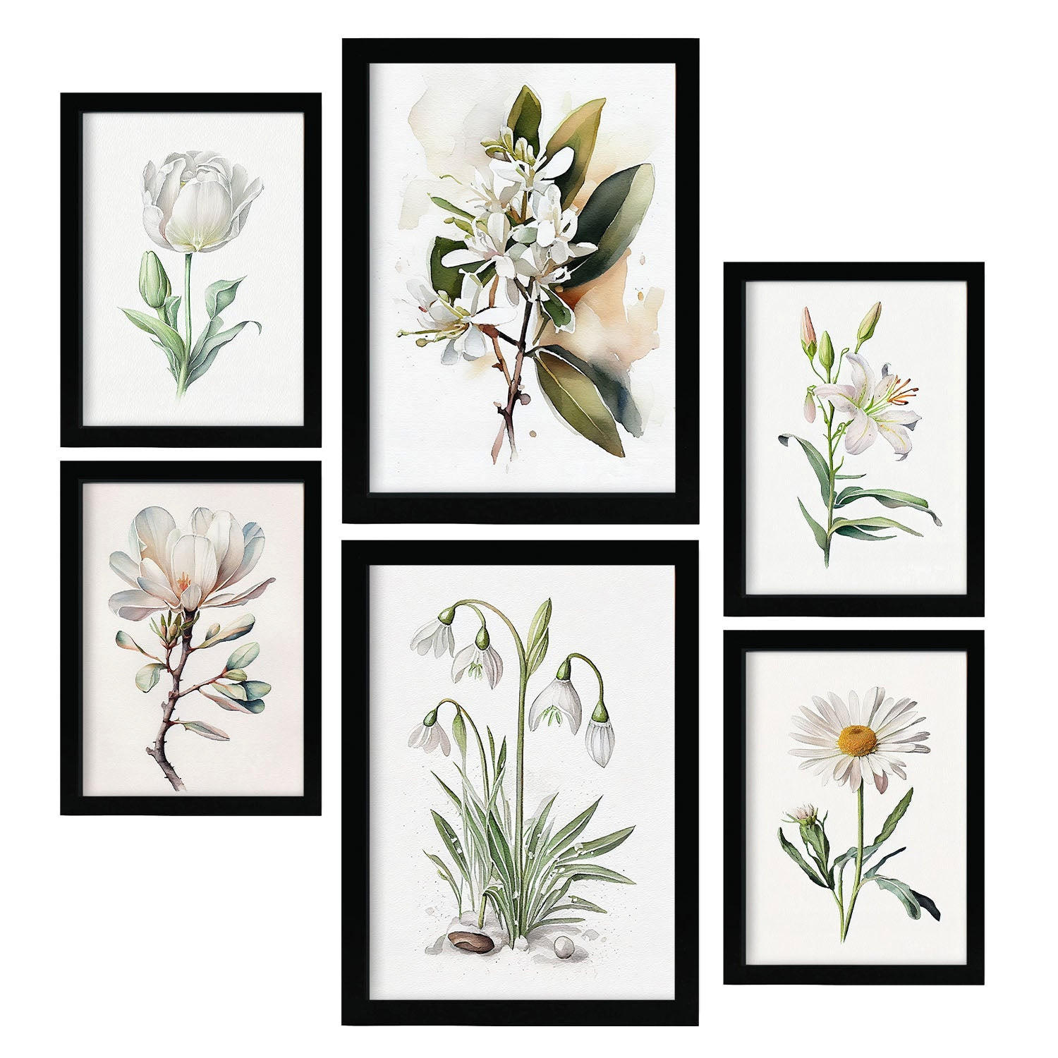 POSTER Set Mit 6 Weiße Blumen Vollfarbige Natur Und Botanikdrucke Mit Blumenmotiven Auf Reinweißen Hintergründen A3 & A4 Schwarzer Rahmen - Schwarz, Papier (29/3cm) - Nacnic