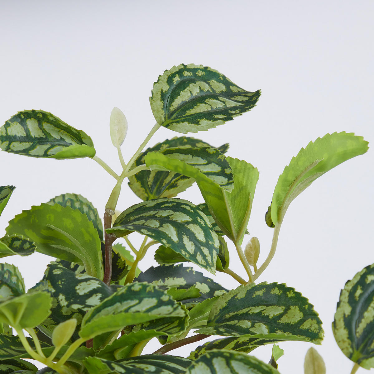 KUNSTBLUME Florista Plea Cadariiere - Grün, Kunststoff (44cm) - Butlers