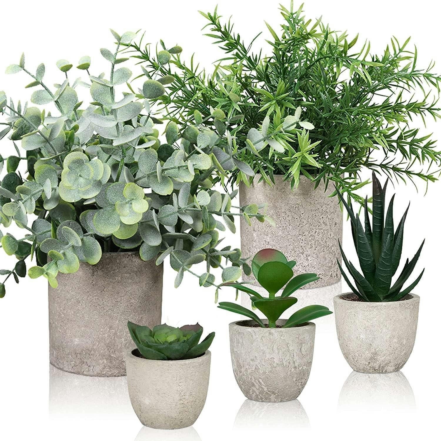 KUNSTPFLANZEN-SET 5-teilig mit Sukkulenten und Eukalyptus - Multicolor, Kunststoff (22cm)