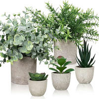 KUNSTPFLANZEN-SET 5-teilig mit Sukkulenten und Eukalyptus - Multicolor, Kunststoff (22cm)