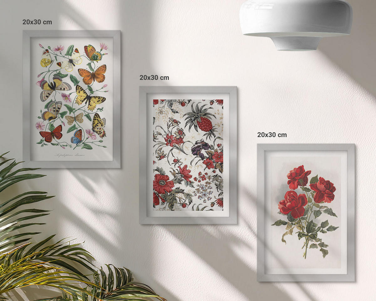 BILDER SET 3er Set - 20x30 cm Silberner Rahmen - Schmetterlinge, Blumen, rote Rosen - Silberfarben, Kunststoff (20/30cm) - TULUP