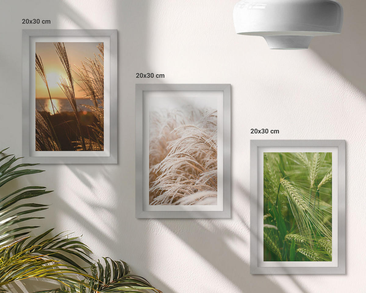 BILDER SET 3er Set - 20x30 cm Silberner Rahmen - Gräser farbenfrohe Natur - Silberfarben, Kunststoff (20/30cm) - TULUP