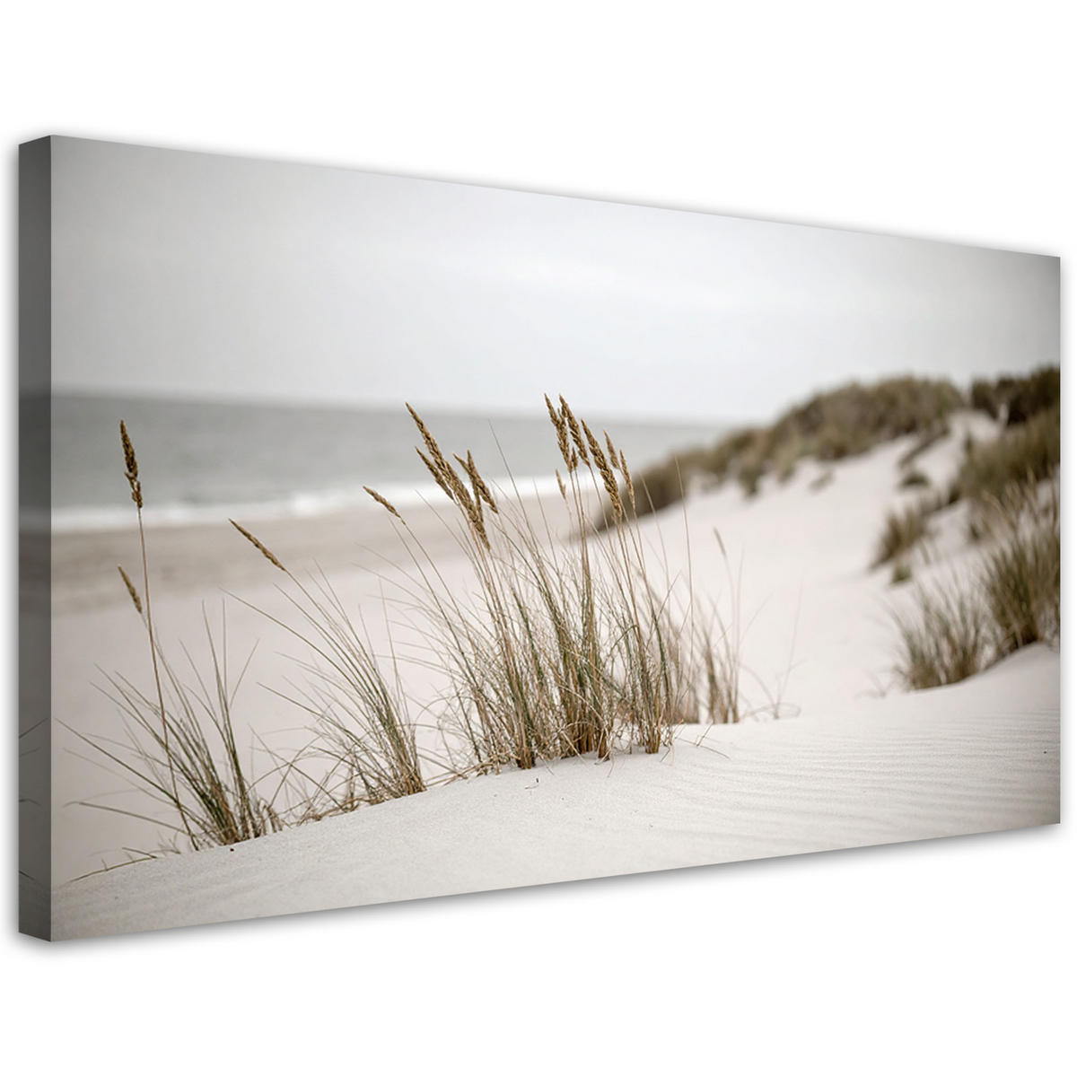 LEINWANDBILD Landschaften 120x60cm - Beige, Textil (120/60cm) - Feeby