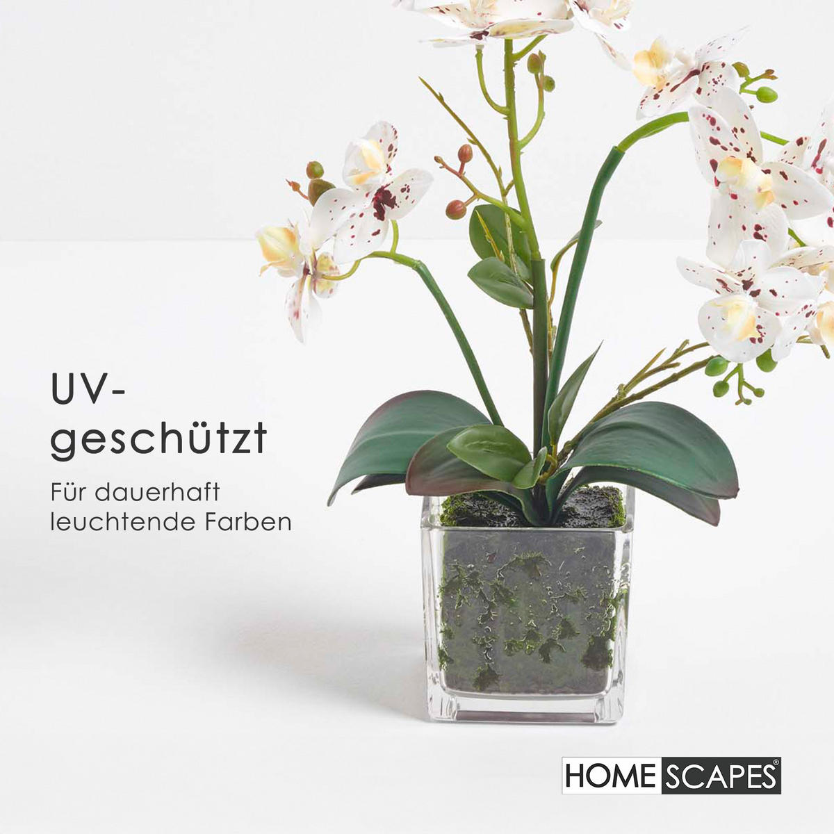 KUNSTBLUME Orchidee weiß-pink im Glas-Topf, 42 cm - Weiß, Kunststoff (42cm) - Homescapes