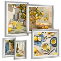 BILDER SET 5er Set - 50x50 cm & 20x30 cm & 40x60 cm Silberner Rahmen - Patio Sun Limonade - Silberfarben, Kunststoff (40/60cm) - TULUP