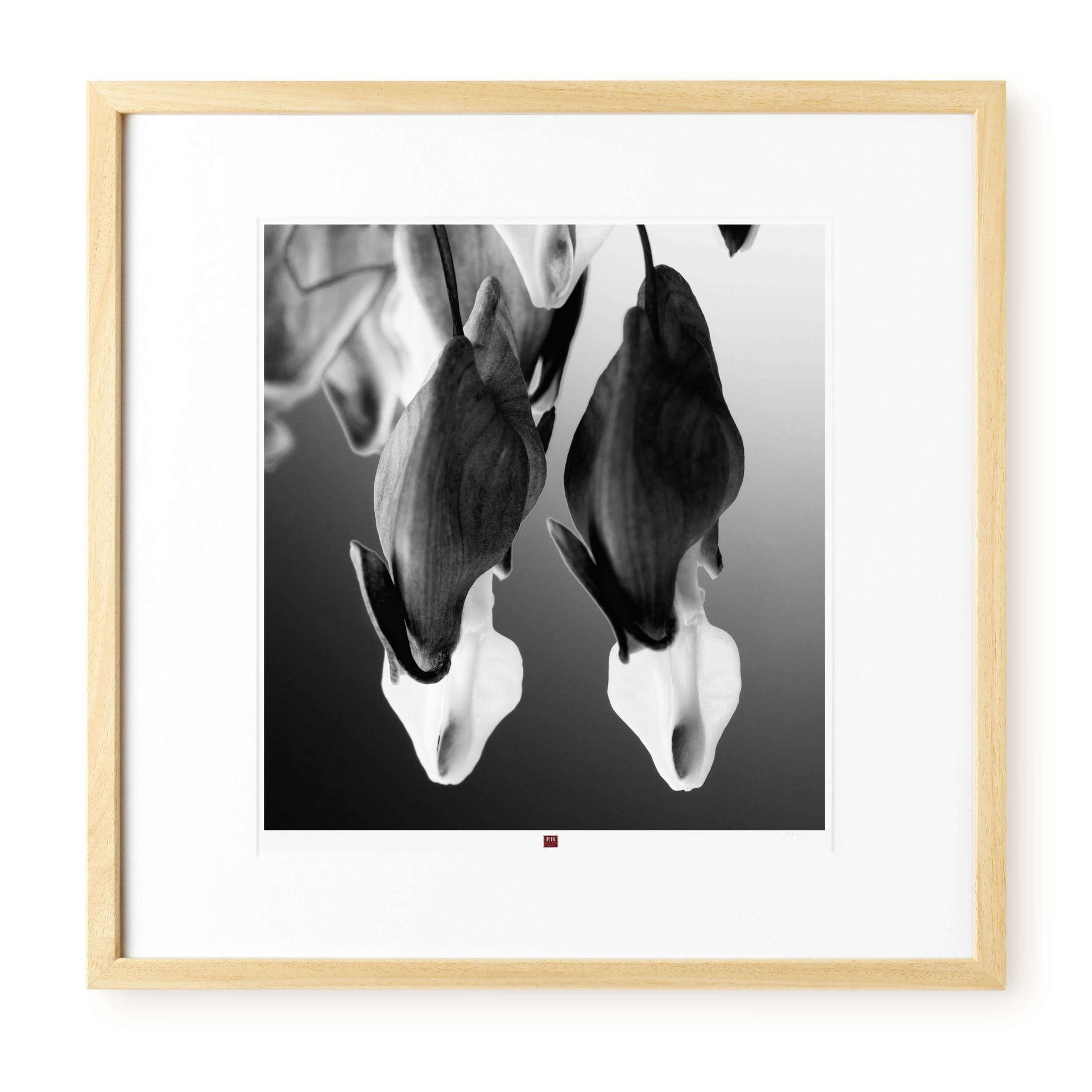 KUNSTDRUCK Schwarz-Weiß 50/50 cm - Schwarz, Glas/Papier (2.4/50cm) - KUNSTLOFT