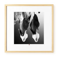 KUNSTDRUCK Schwarz-Weiß 50/50 cm - Schwarz, Glas/Papier (2.4/50cm) - KUNSTLOFT