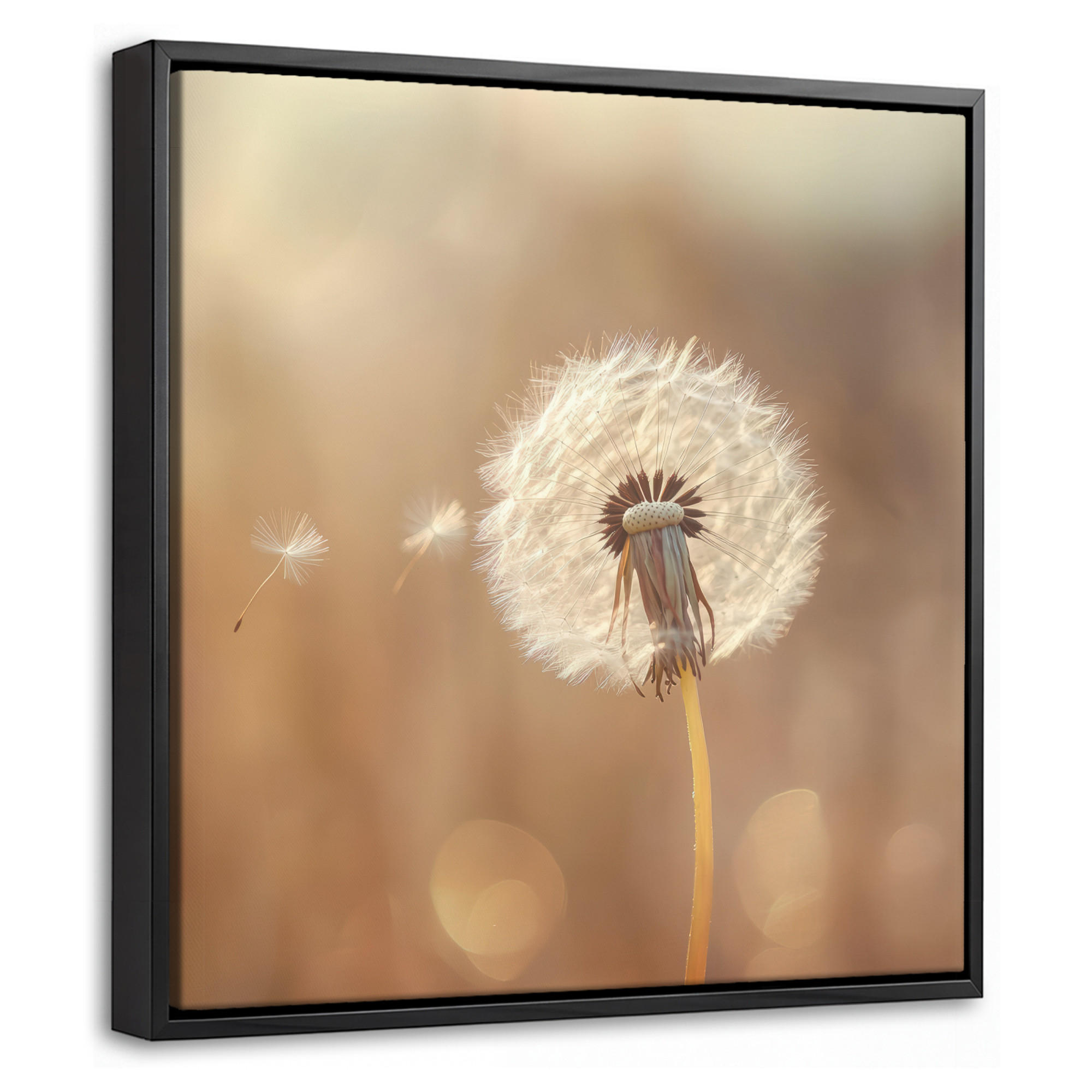 MuchoWow Leinwand Hellbraun 20x20 cm