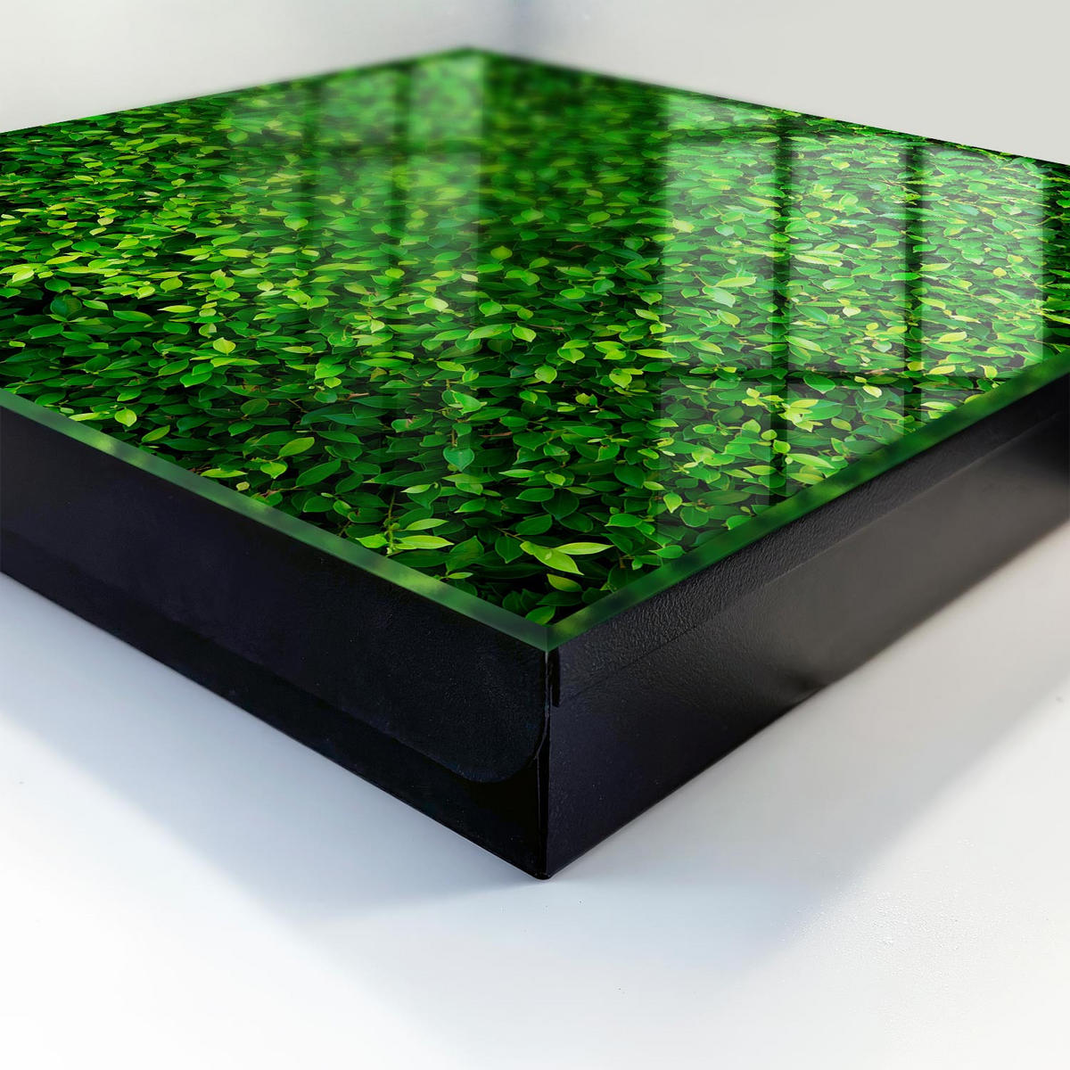 SCHLÜSSELBOX Schwarz 30x30 cm- Türöffnung nach rechts - Grüner Garten - Grün, Metall (30/30/5cm) - TULUP
