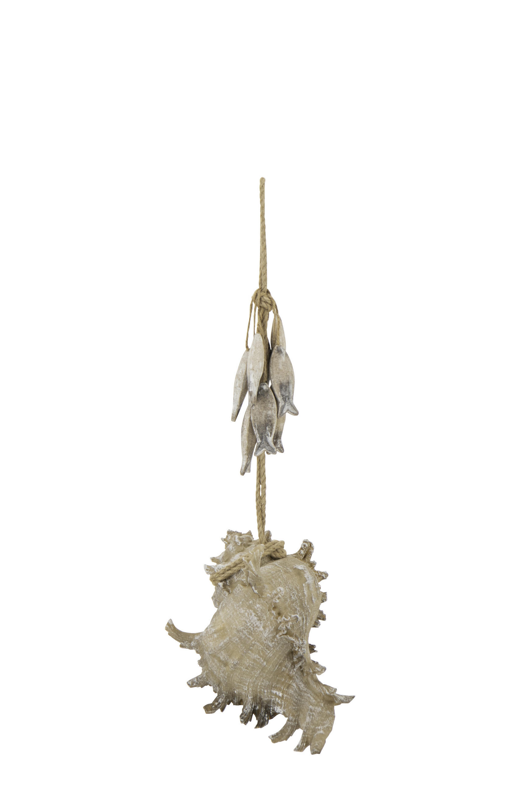 AUFHÄNGER MUSCHEL (2ER SET) - Naturfarben, Holz (16/12/22cm) - J-Line