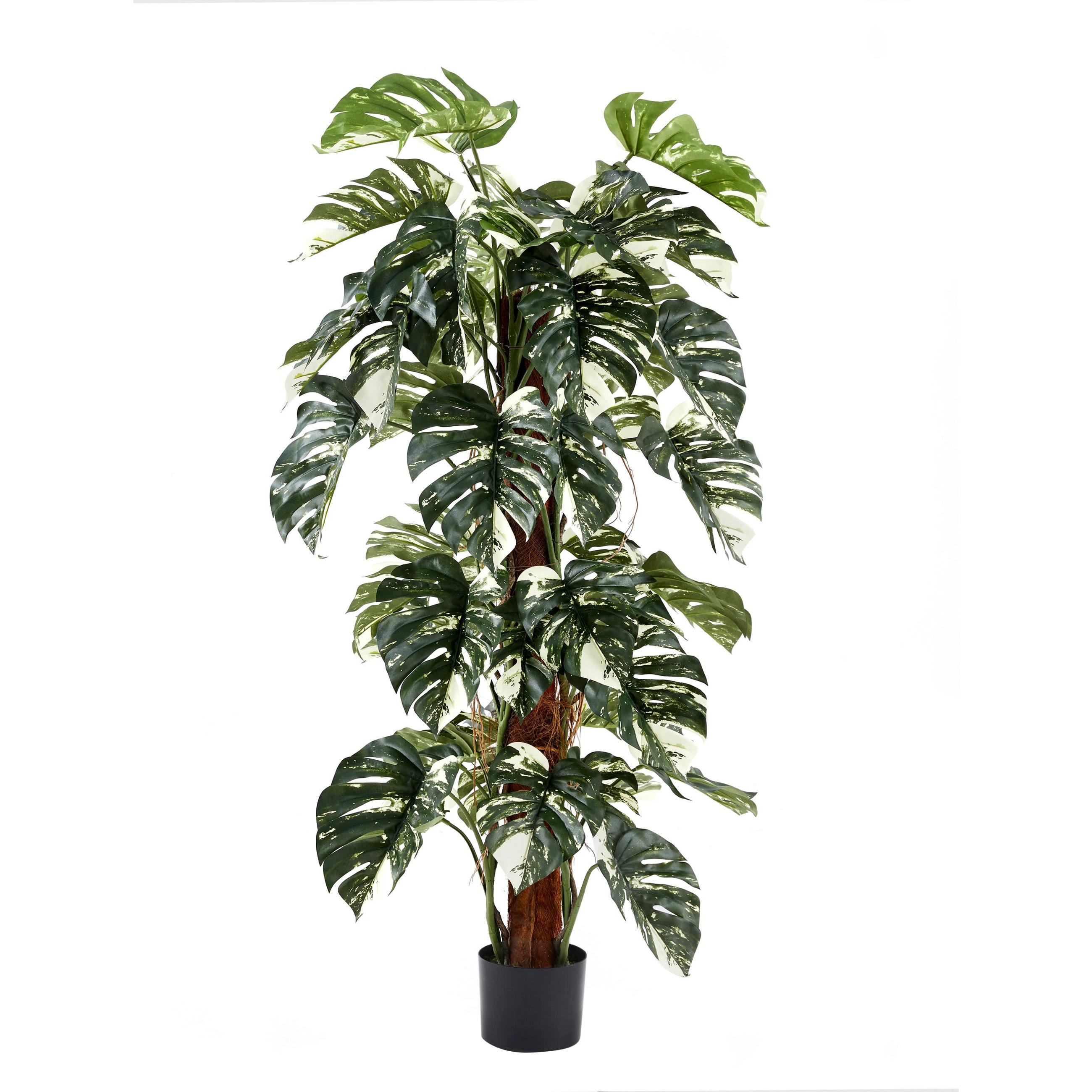 aplanta Kunstpflanze Natur 150 cm
