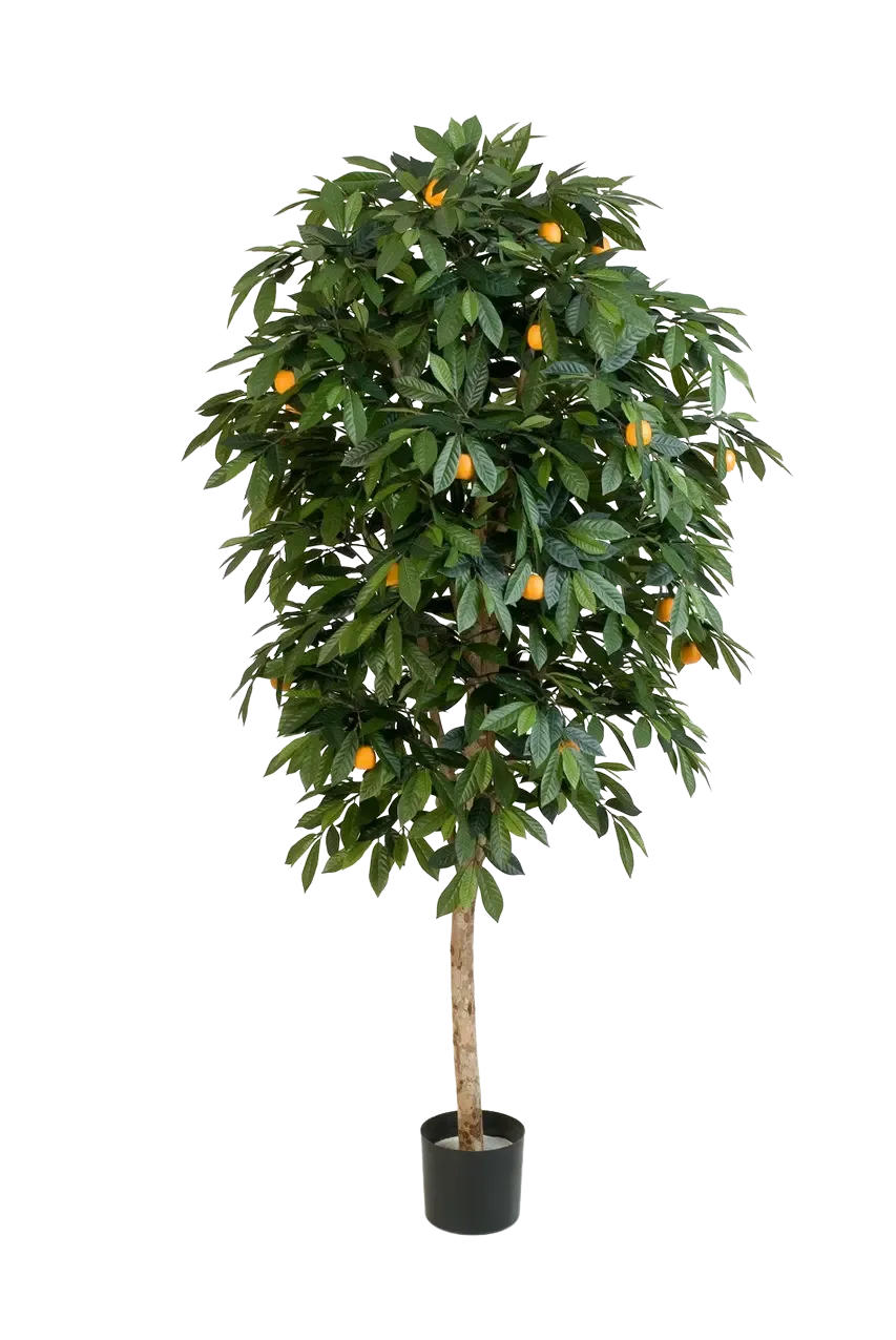 KUNSTBAUM Künstlicher Orangenbaum - Pius 170 cm - Grün, Kunststoff (170cm) - aplanta