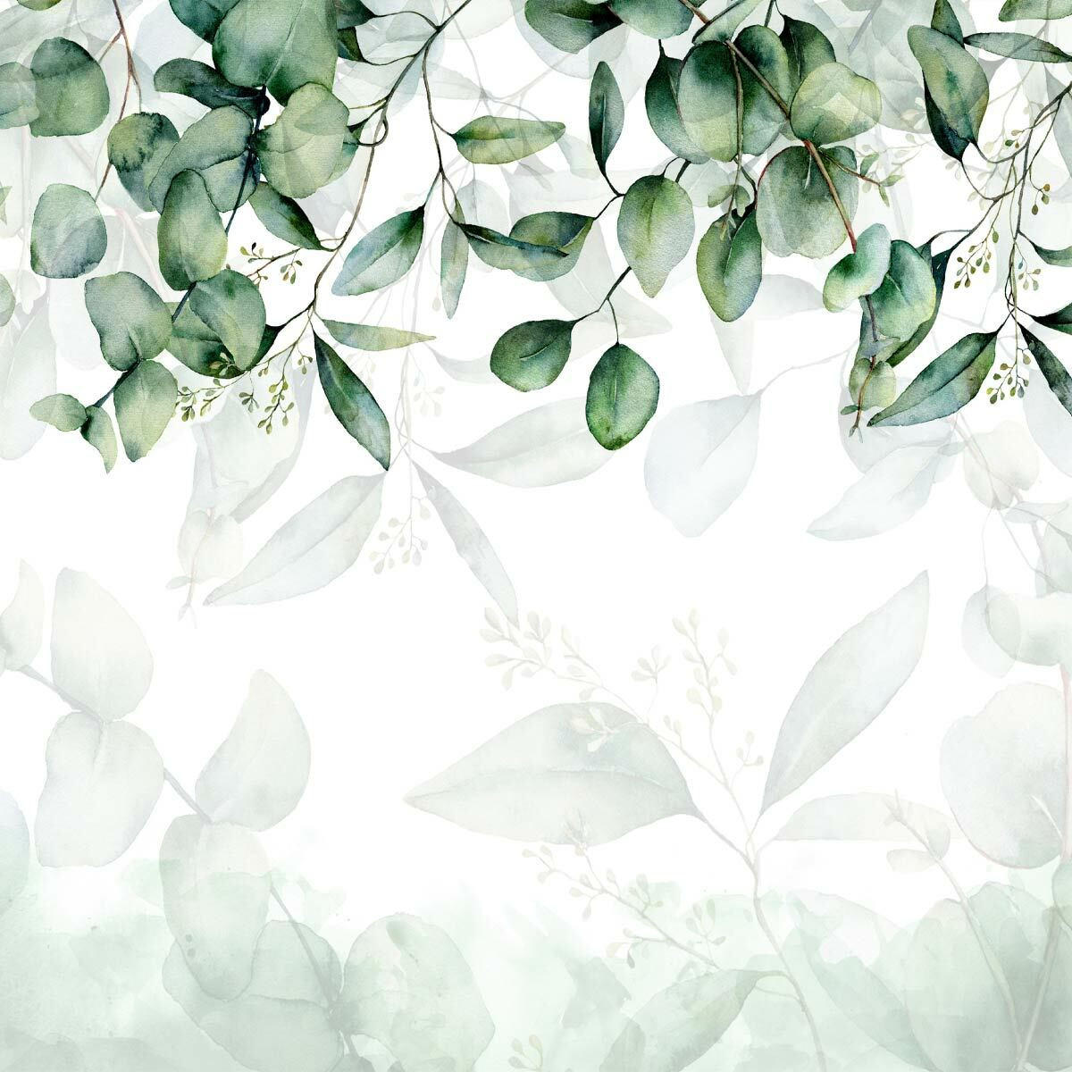 FOTOTAPETE Blätter Pflanzen Natur Für Wohnzimmer 520x318cm - Weiß/Grün, Papier (520/318cm) - Muralo