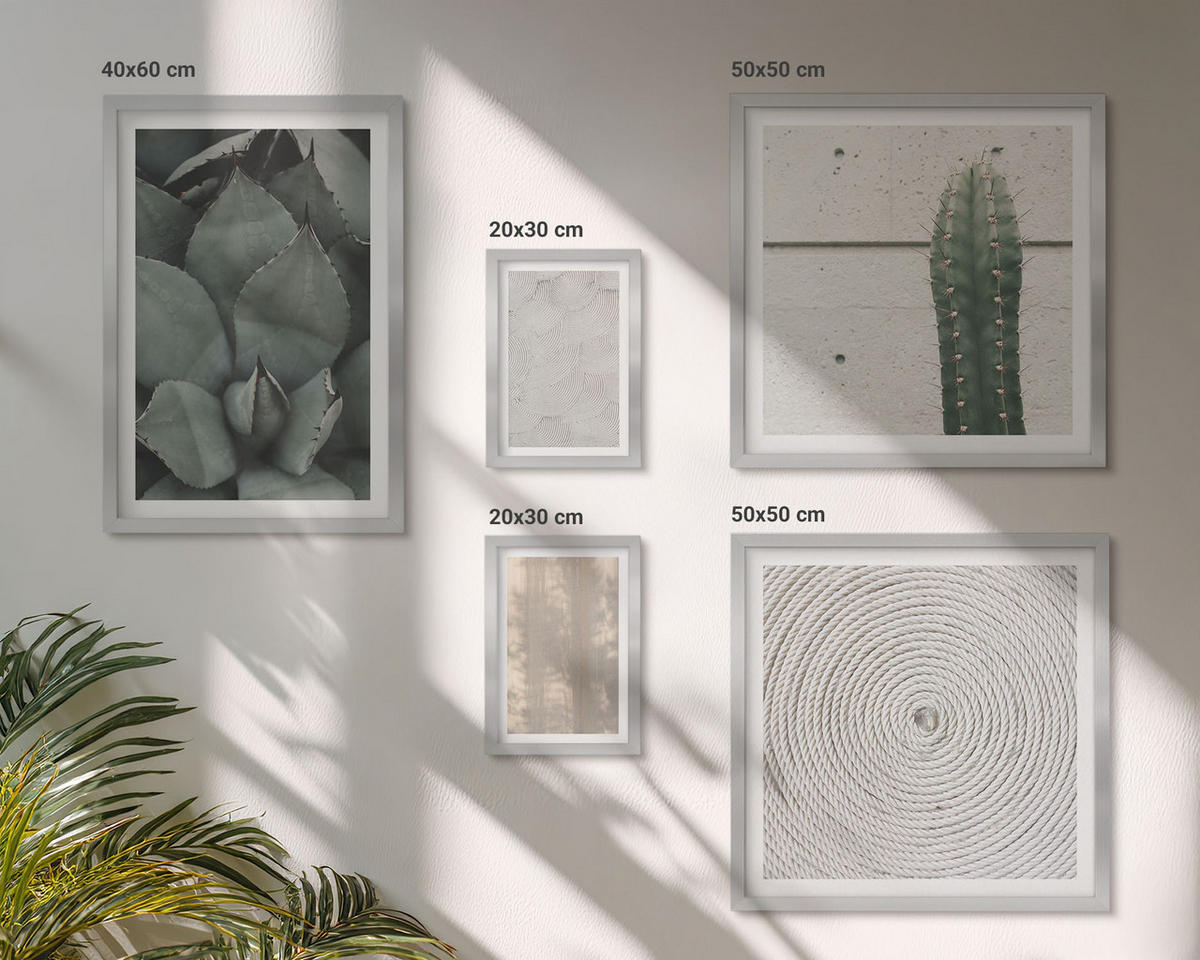 BILDER SET 5er Set - 50x50 cm & 20x30 cm & 40x60 cm Silberner Rahmen - Sommerliche Texturen aus den Tropen - Silberfarben, Kunststoff (40/60cm) - TULUP