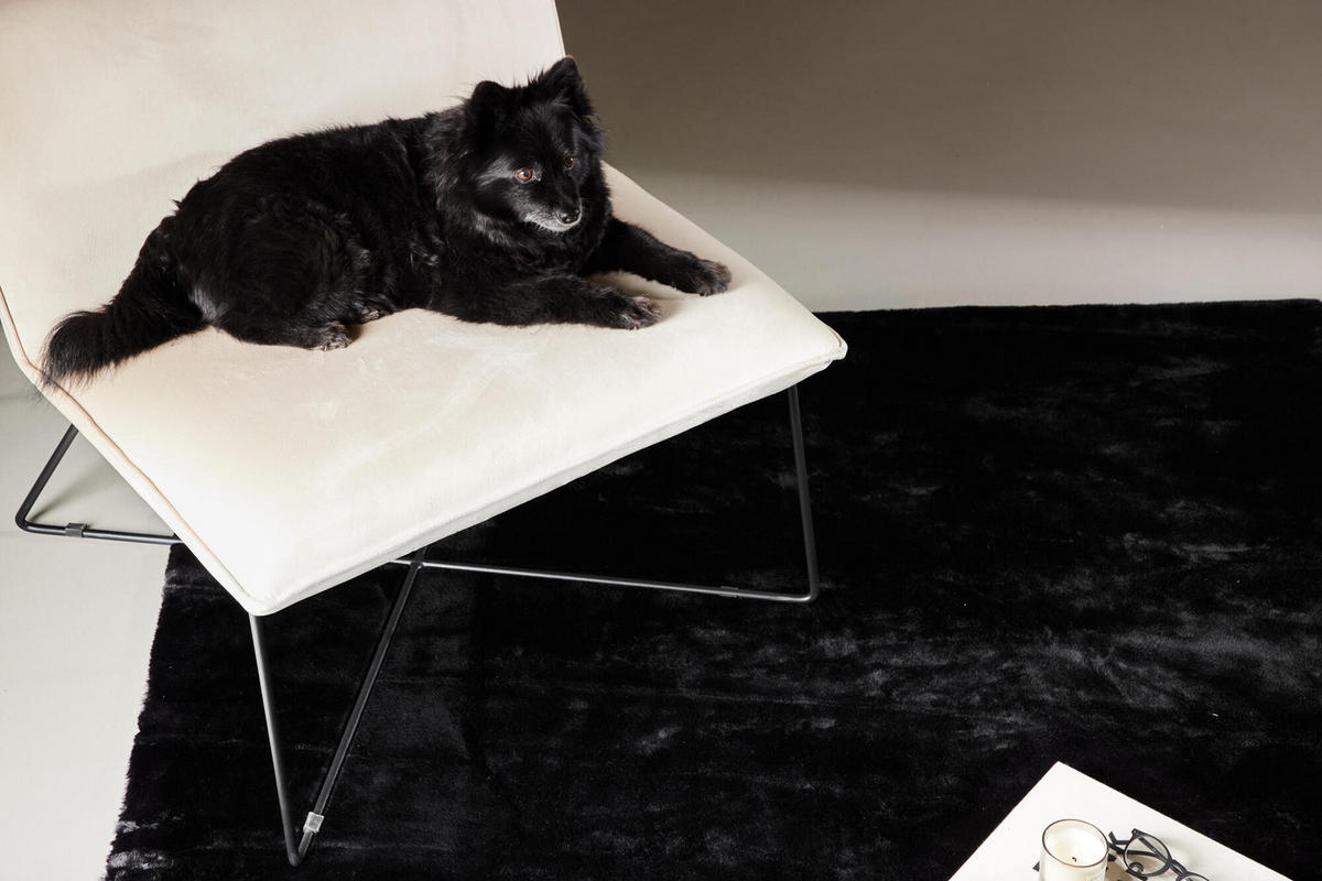 WOHNZIMMERTEPPICH NINA Schwarz 200x300x2 cm - Schwarz, Textil (200/300cm) - FURNLUX