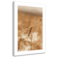 WANDBILD zartes boho gras - Beige, Textil (40/60cm) - Feeby