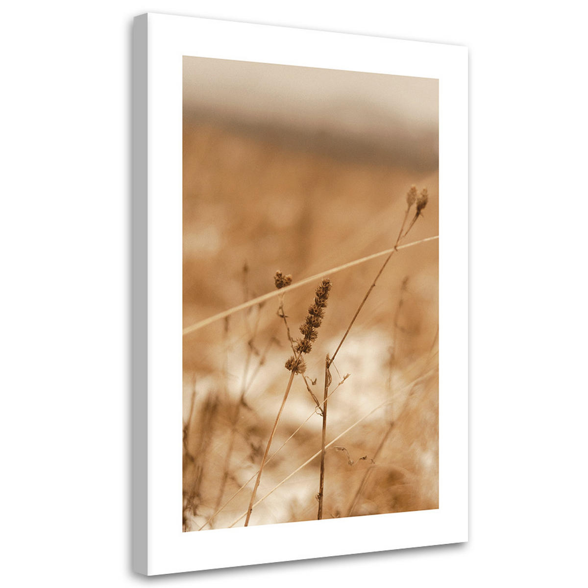 WANDBILD zartes boho gras - Beige, Textil (40/60cm) - Feeby