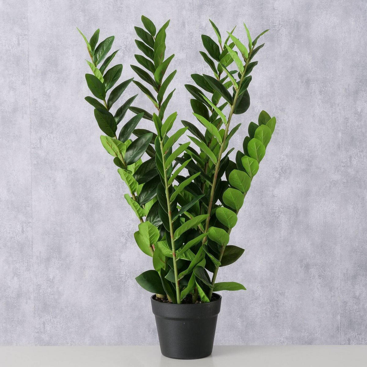KUNSTPFLANZE Zamioculcas 76 cm - Grün, Kunststoff (76cm) - Boltze Home