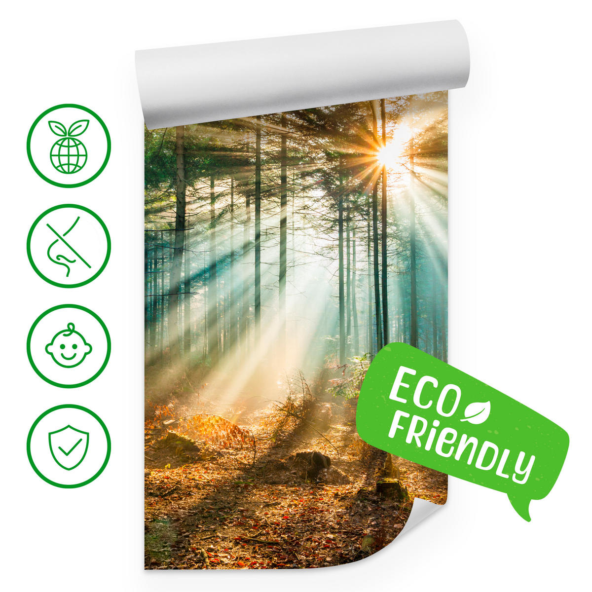 FOTOTAPETE für Wohnzimmer Herbstwald Sonnenuntergang Bäume Natur 500x350 - Beige/Gelb, Papier (500/350cm) - Muralo