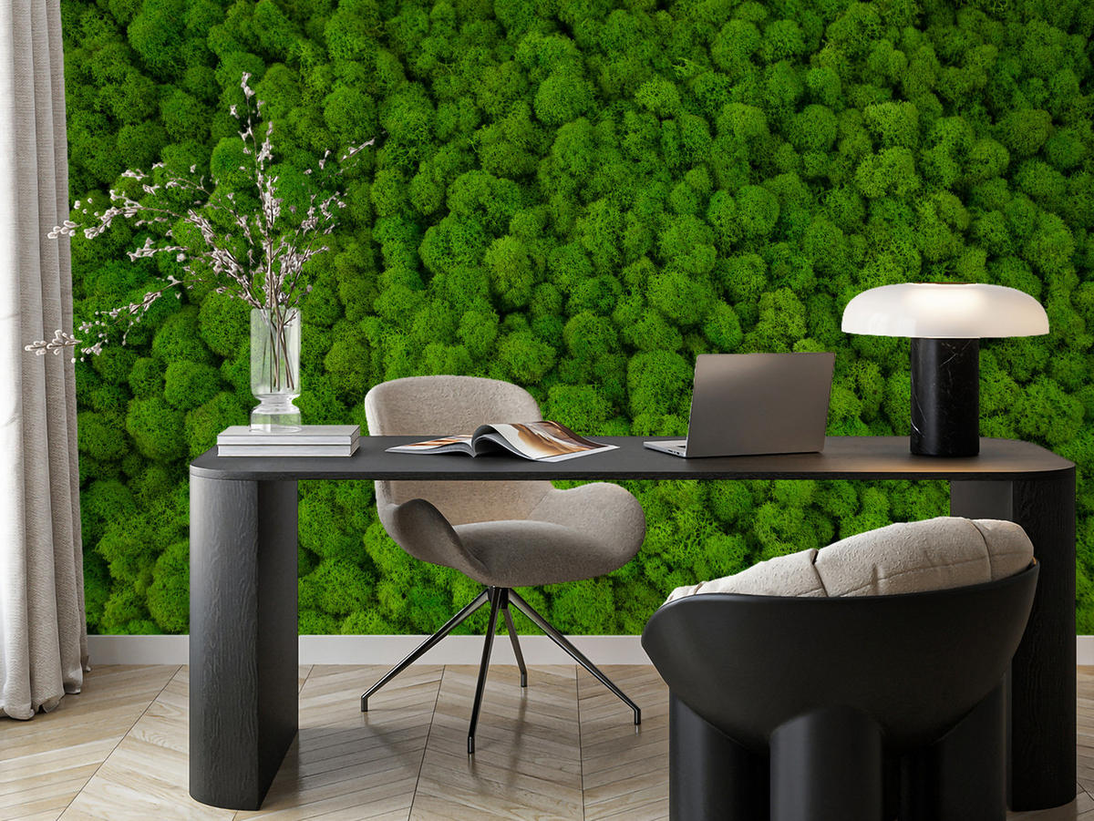 FOTOTAPETE für Jugendzimmer Dekorativer Grüner Moos Modern 200x140 - Grün, Papier (200/140cm) - Muralo