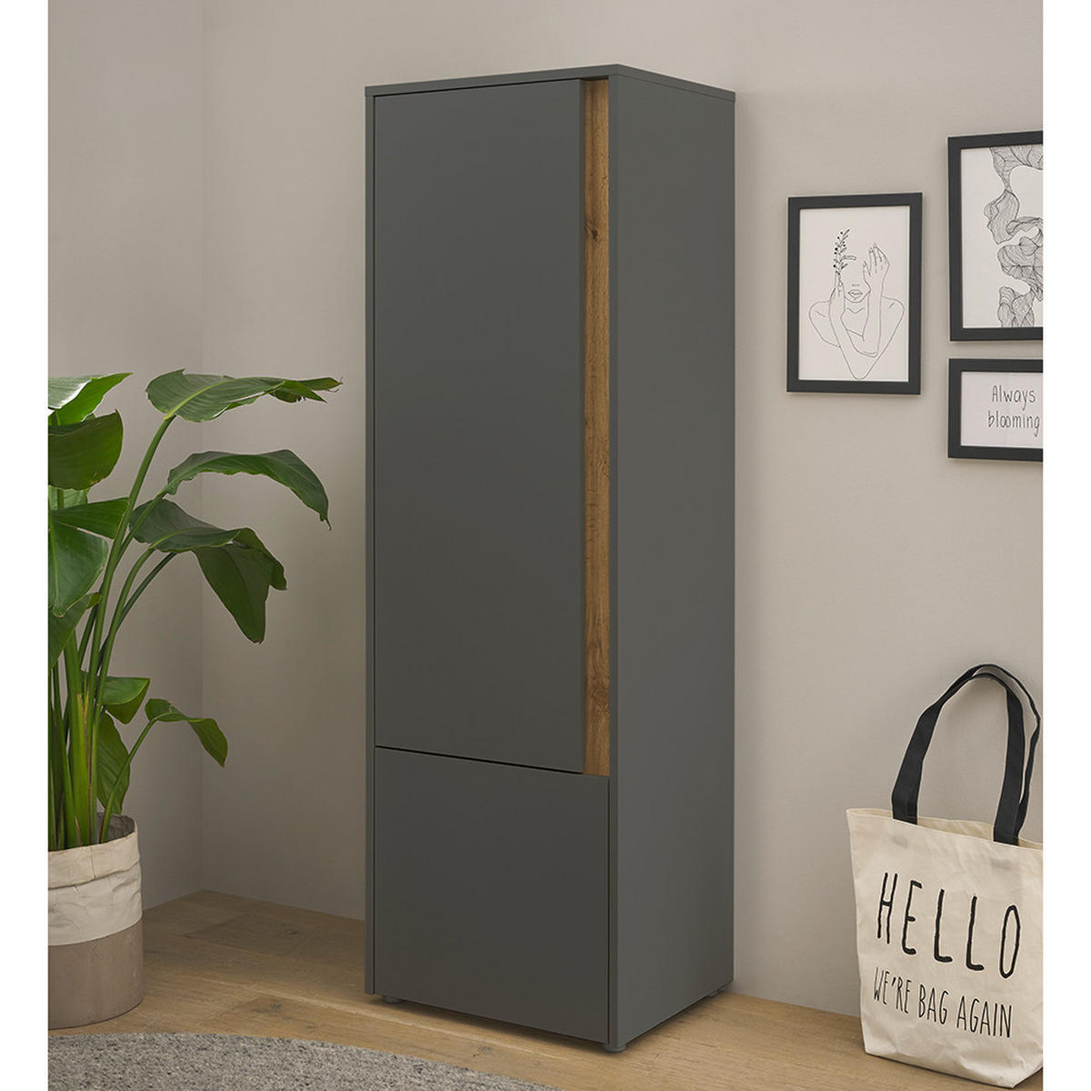 STAURAUMSCHRANK Crisp-61 - Anthrazit, Holzwerkstoff (50/157/40cm) - Lomado