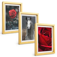 BILDER SET 3er Set - 20x30 cm Goldrahmen - Rote Rosen, Pferdegrau, Welt - Goldfarben, Kunststoff (20/30cm) - TULUP