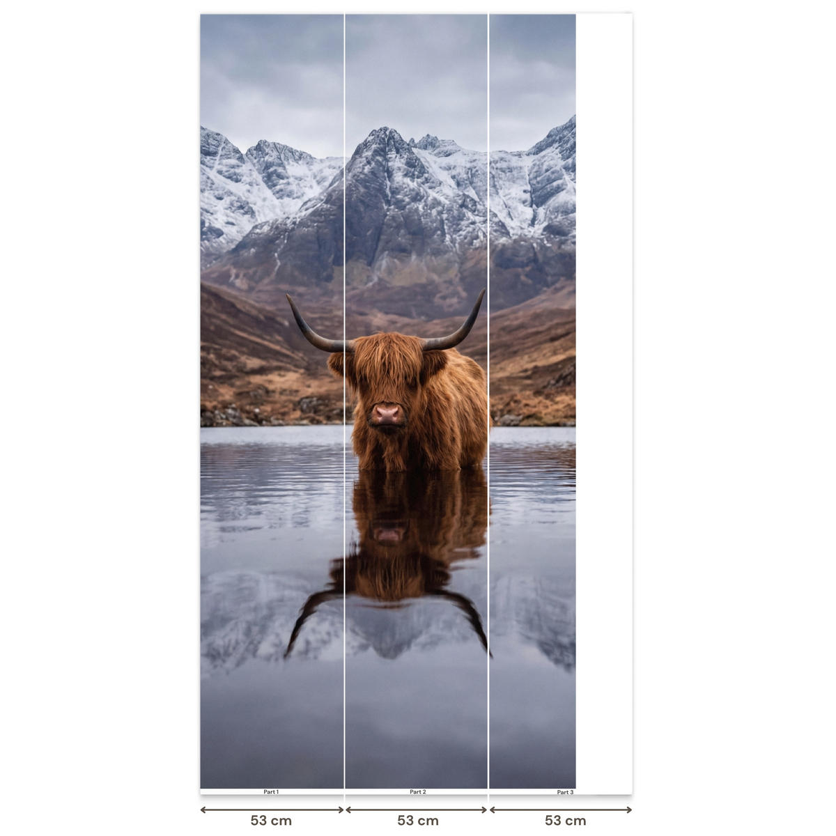 TAPETE - Schottischer Hochländer - Braun - Wasser - 140x260 cm - Braun, Papier (140/260cm) - OnlyWow