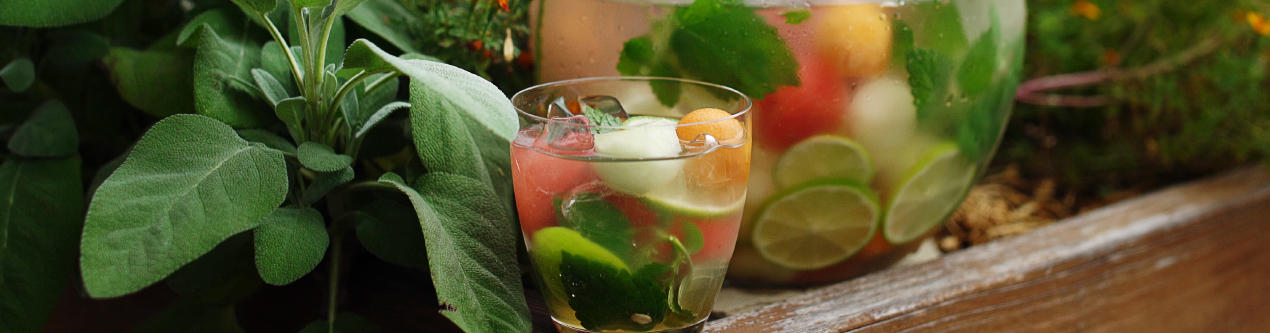 XXXLecker-Melon-Infused-Water