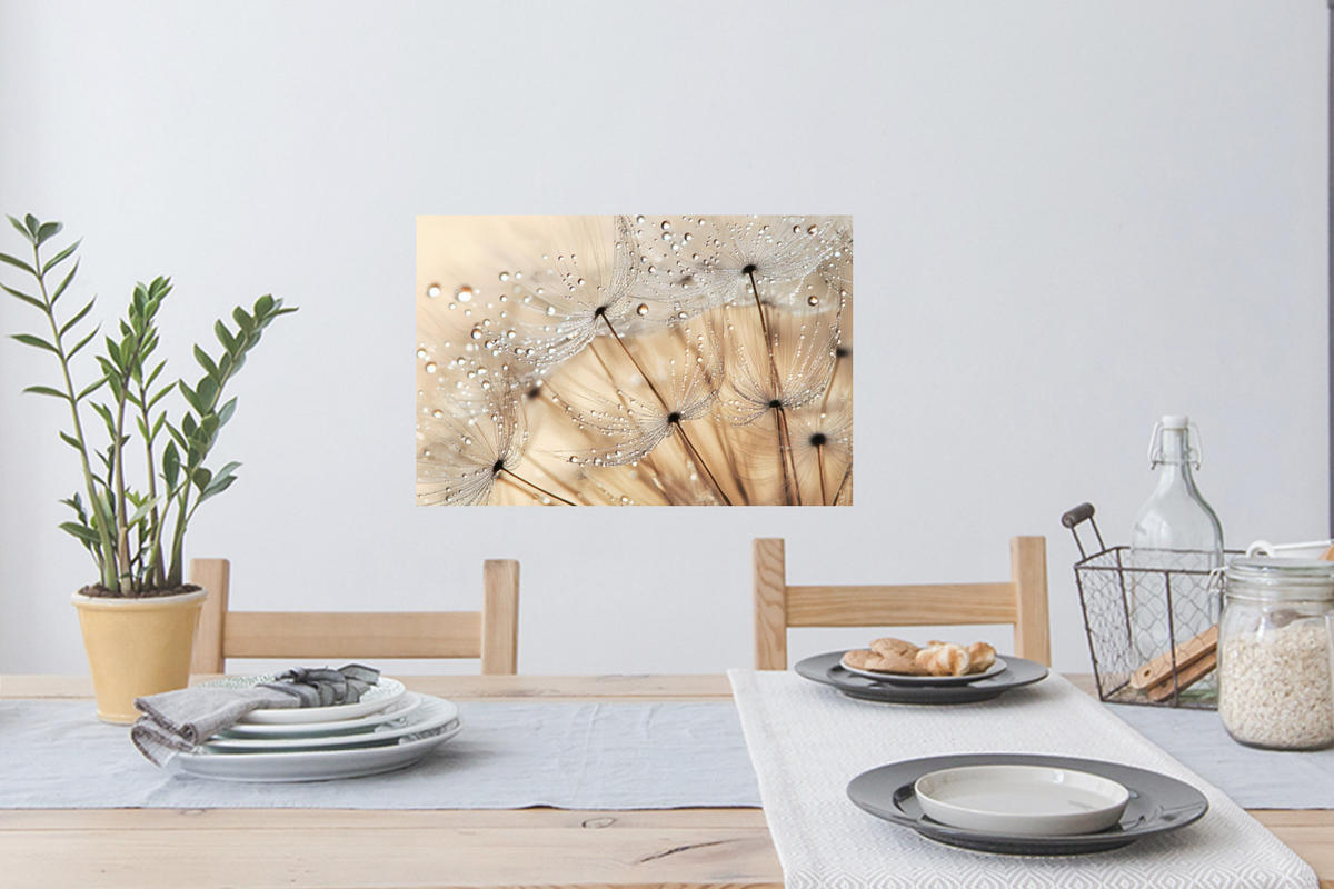 WANDTATTOO Löwenzahn - Abstrakt - Natur - Beige 60x40 cm - Braun, Kunststoff (60/40/0.1cm) - MuchoWow