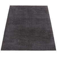 KURZFLORTEPPICH 80/150 cm Cadiz 630 - Anthrazit, Textil (80/150cm) - Paco Home