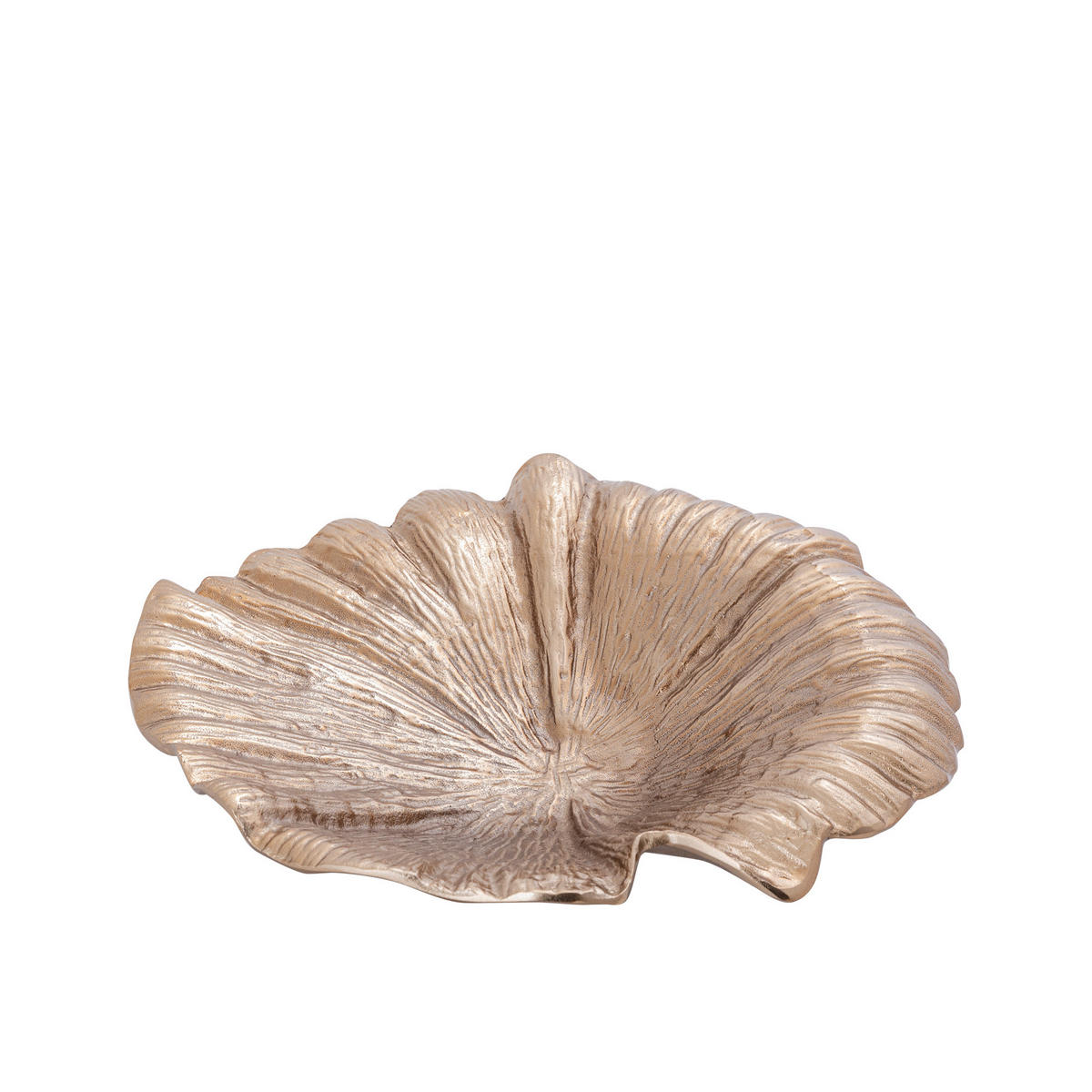SCHALE Losh Braun 42/40/9cm - Braun, Metall (9cm) - PTMD Collection