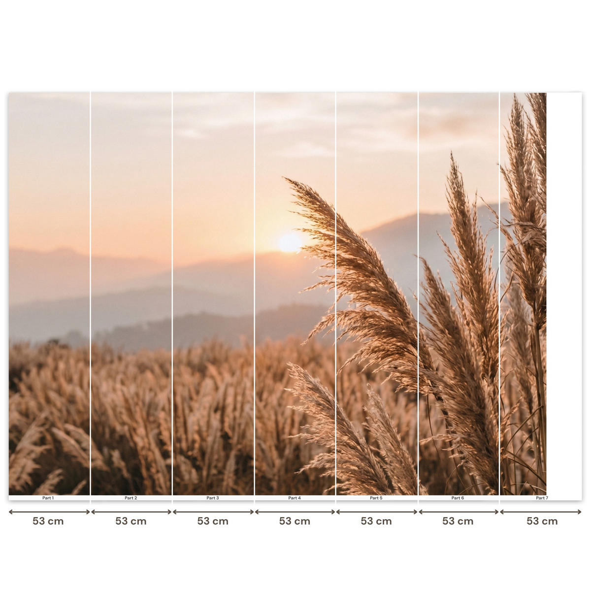 TAPETE - Gras - Feld - Sonne - Natur - 300x220 cm - Sandfarben, Papier (300/220cm) - OnlyWow