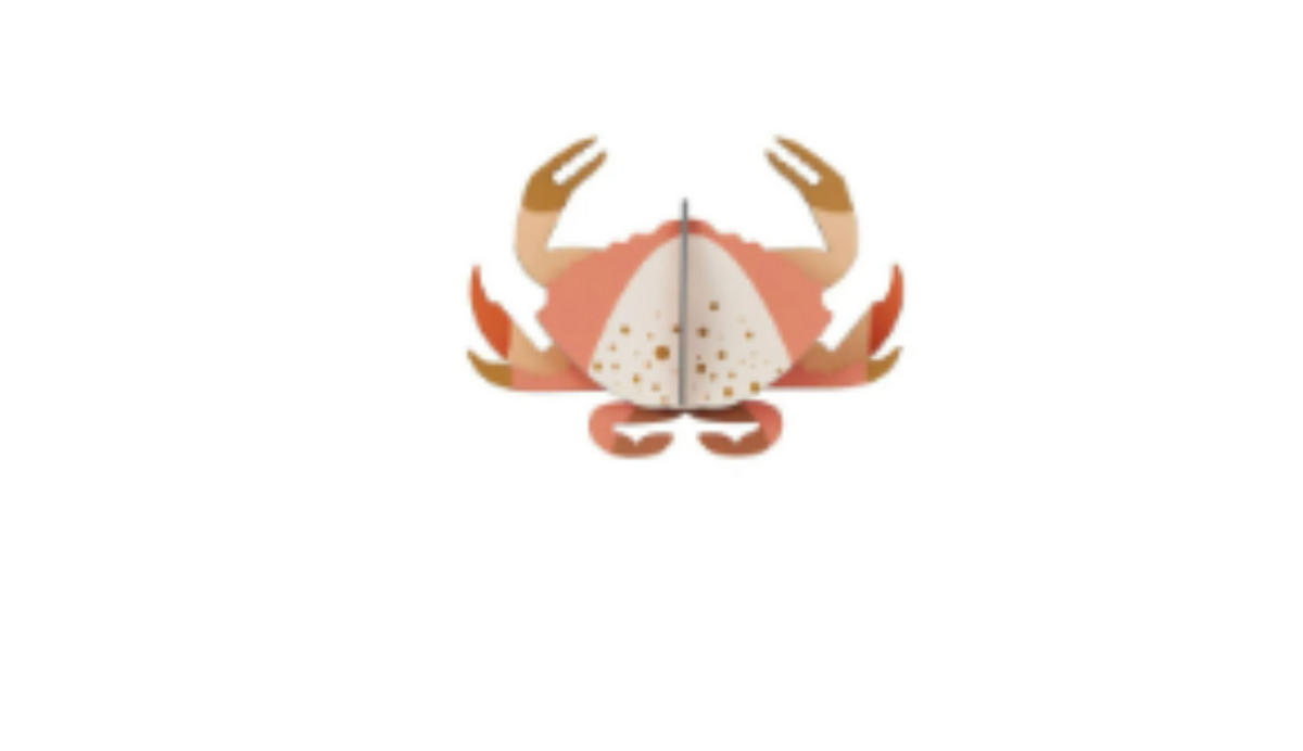 BASTELSET 3D Wandobjekt, Krabbe, Studio ROOF, Karton - Naturfarben, Karton (10/2/7.8cm) - ich-zapfe