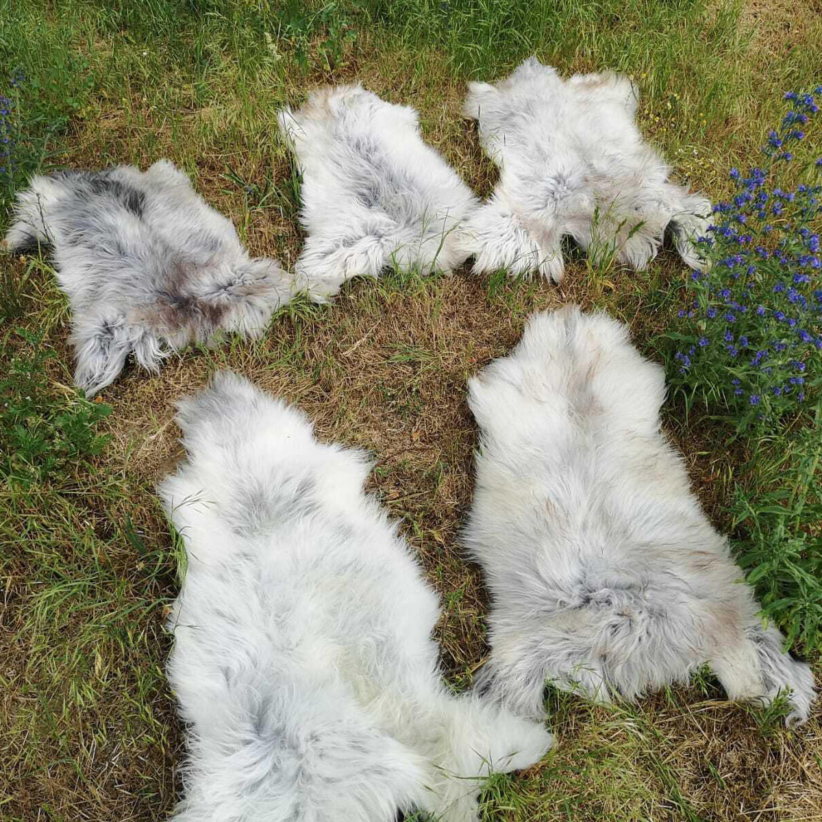 LAMMFELL Schnuckenfell Naturfarbe Langwolle Schwedisch ca. 80 cm - Weiß/Braun, Fell (40/80cm) - Provellus