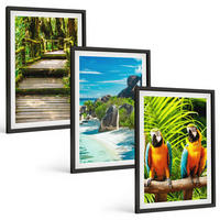 BILDER SET 3er Set - 40x60 cm Schwarzer Rahmen - Tropischer Wald Papageienwasserfall - Schwarz, Kunststoff (40/60cm) - TULUP