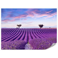 FOTOTAPETE für Küche Lavendelfeld Lila Natur Sträucher 500x350 - Blau/Violett, Papier (500/350cm) - Muralo