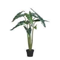 KUNSTPFLANZE Künstliche Alocasia - Marco 100 cm - Grün, Kunststoff (100cm) - aplanta